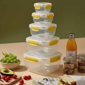 ست فریزری fit&;fresh پیونی 10پارچه خرید از منصف لند